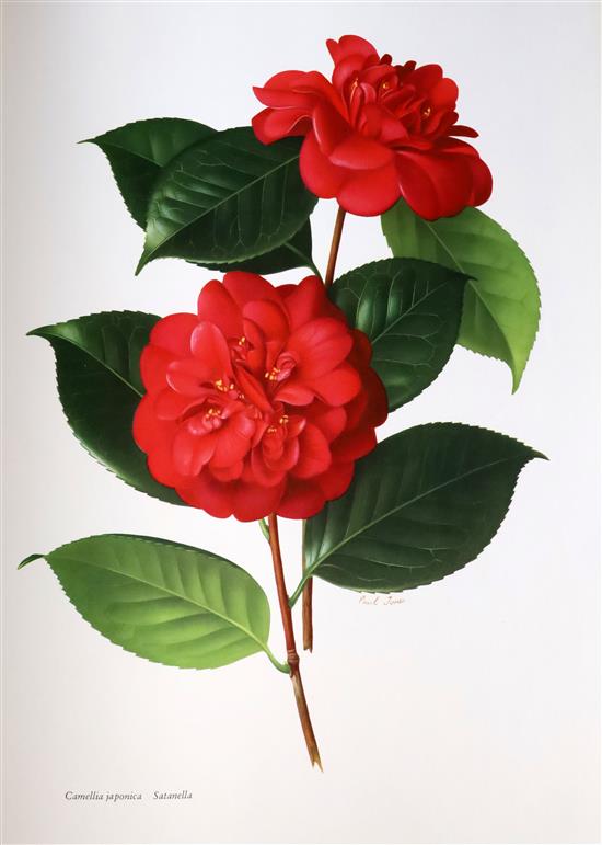 Urquhart, Beryl Leslie, editor - The Camellia, 2 vols, 36 coloured plates (from paintings by Raymond Boothe and